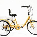 Triciclo para adultos OU BEST CHOOSE