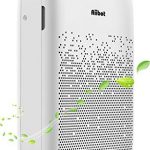 Purificador de aire con filtro cuádruple de HEPA