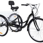 Triciclo de adultos eléctrico MOMOJA