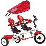 Triciclo gemelar FLy